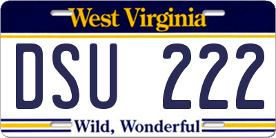 WV license plate DSU222