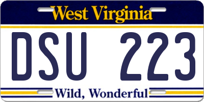 WV license plate DSU223