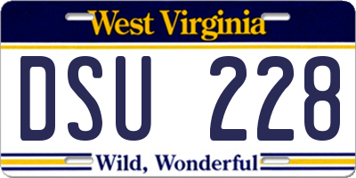 WV license plate DSU228
