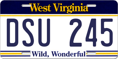 WV license plate DSU245
