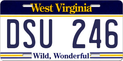 WV license plate DSU246