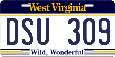 WV license plate DSU309