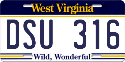 WV license plate DSU316