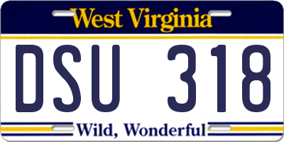 WV license plate DSU318