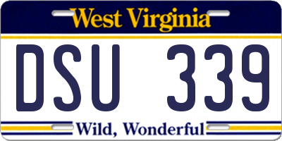 WV license plate DSU339