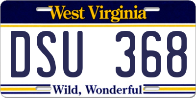 WV license plate DSU368