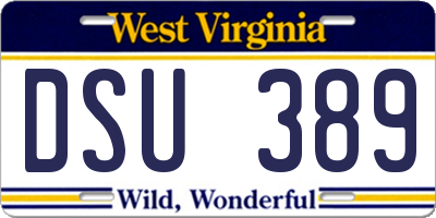 WV license plate DSU389