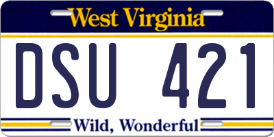WV license plate DSU421