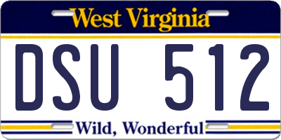 WV license plate DSU512