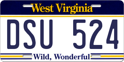 WV license plate DSU524
