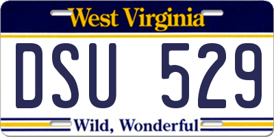WV license plate DSU529