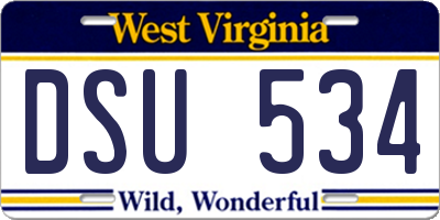 WV license plate DSU534