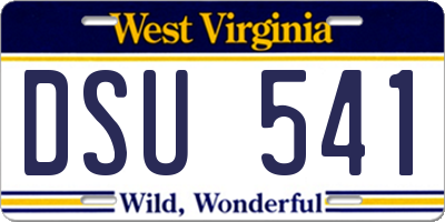 WV license plate DSU541