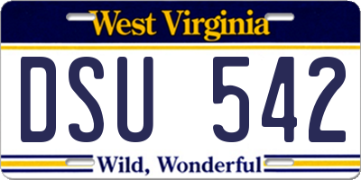 WV license plate DSU542