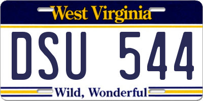 WV license plate DSU544