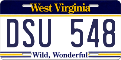 WV license plate DSU548