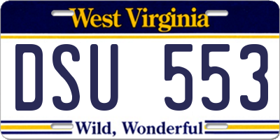 WV license plate DSU553