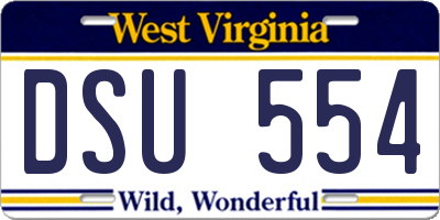 WV license plate DSU554