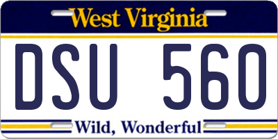 WV license plate DSU560