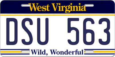 WV license plate DSU563