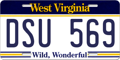 WV license plate DSU569