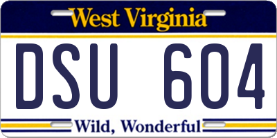 WV license plate DSU604