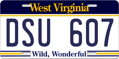 WV license plate DSU607