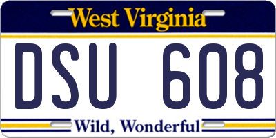 WV license plate DSU608