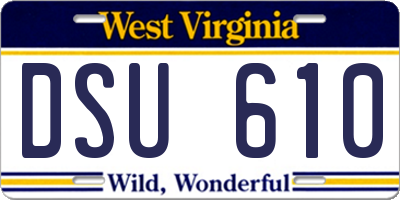 WV license plate DSU610