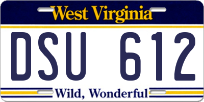 WV license plate DSU612