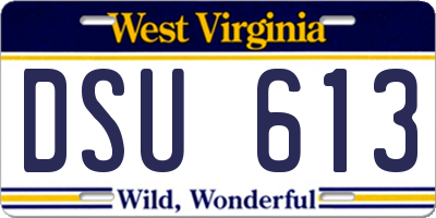 WV license plate DSU613