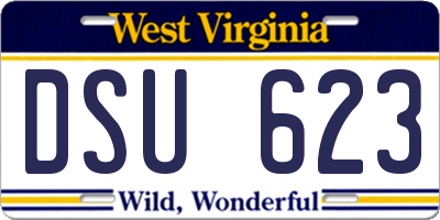WV license plate DSU623