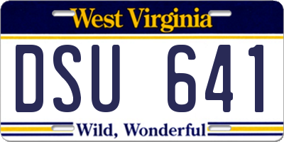 WV license plate DSU641
