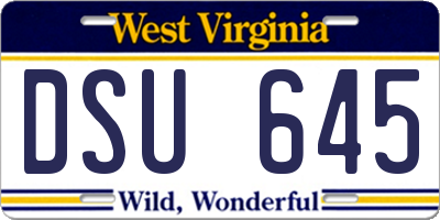 WV license plate DSU645