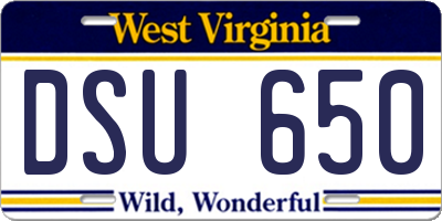 WV license plate DSU650