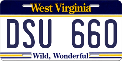 WV license plate DSU660