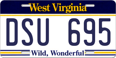 WV license plate DSU695