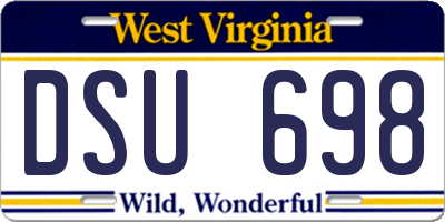 WV license plate DSU698