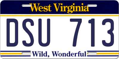 WV license plate DSU713