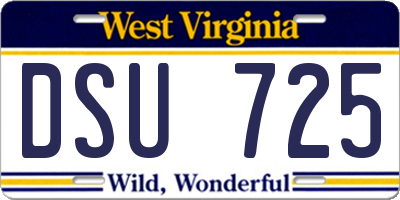 WV license plate DSU725