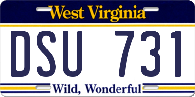 WV license plate DSU731