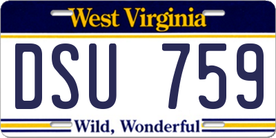 WV license plate DSU759
