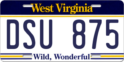 WV license plate DSU875
