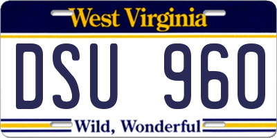 WV license plate DSU960