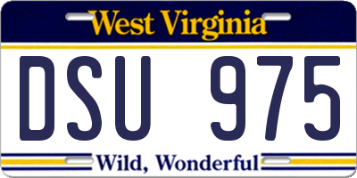 WV license plate DSU975