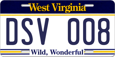 WV license plate DSV008