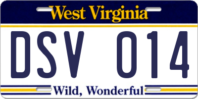 WV license plate DSV014