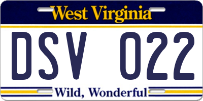 WV license plate DSV022