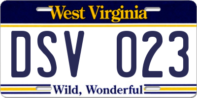 WV license plate DSV023