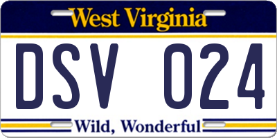 WV license plate DSV024